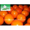 Juic Navel Orange en cartón de 15kg